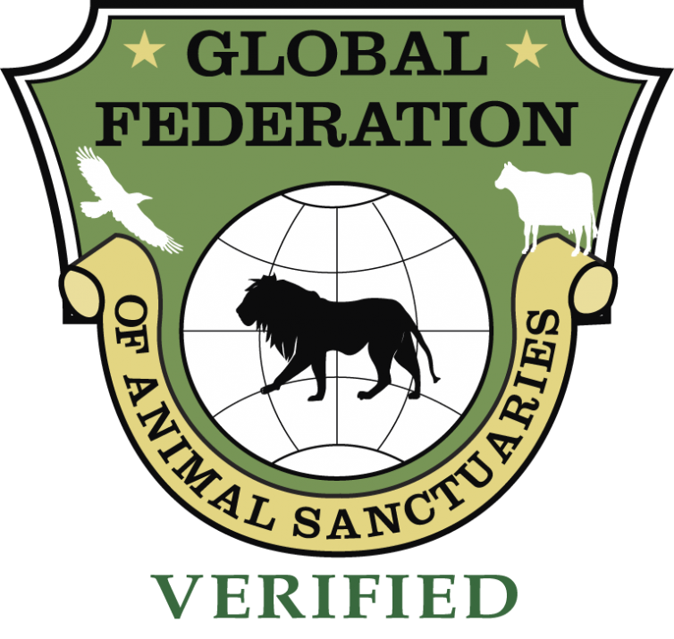 Red Bucket Equine Rescue in California is Verified by the Global