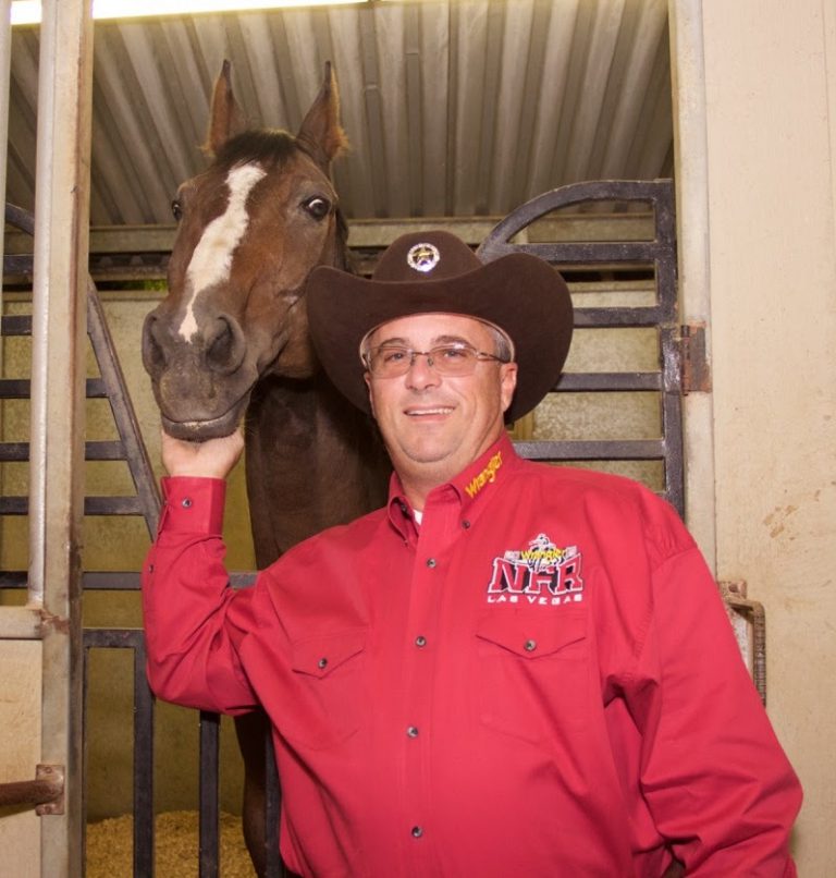 Volunteer Highlight Red Bucket Equine Rescue