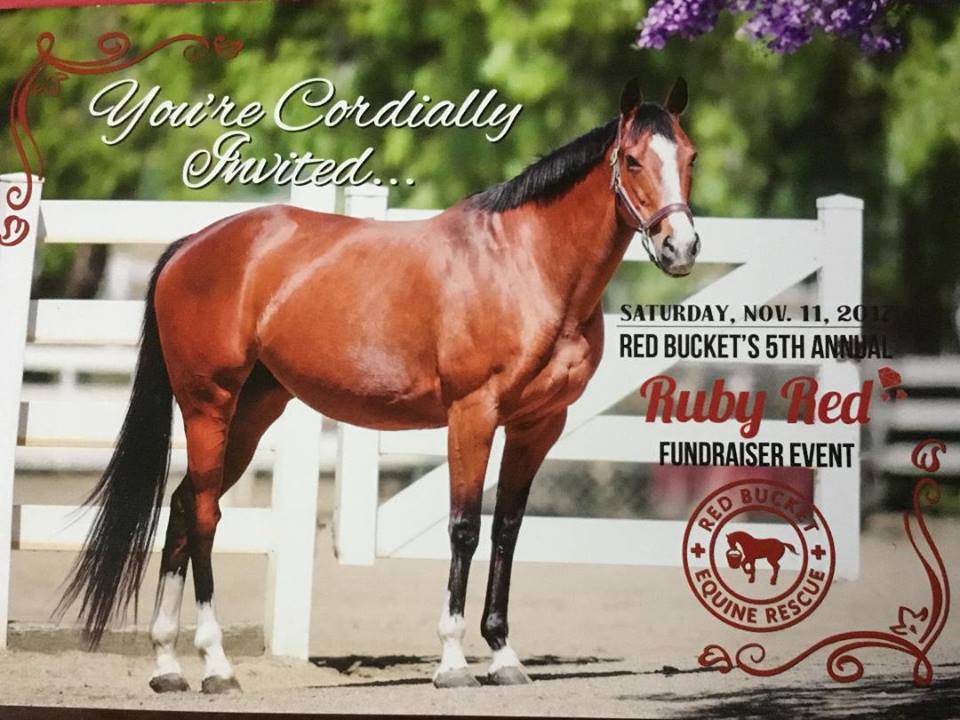 Red Buckets Fifth Annual Ruby Red Gala Red Bucket Equine Rescue