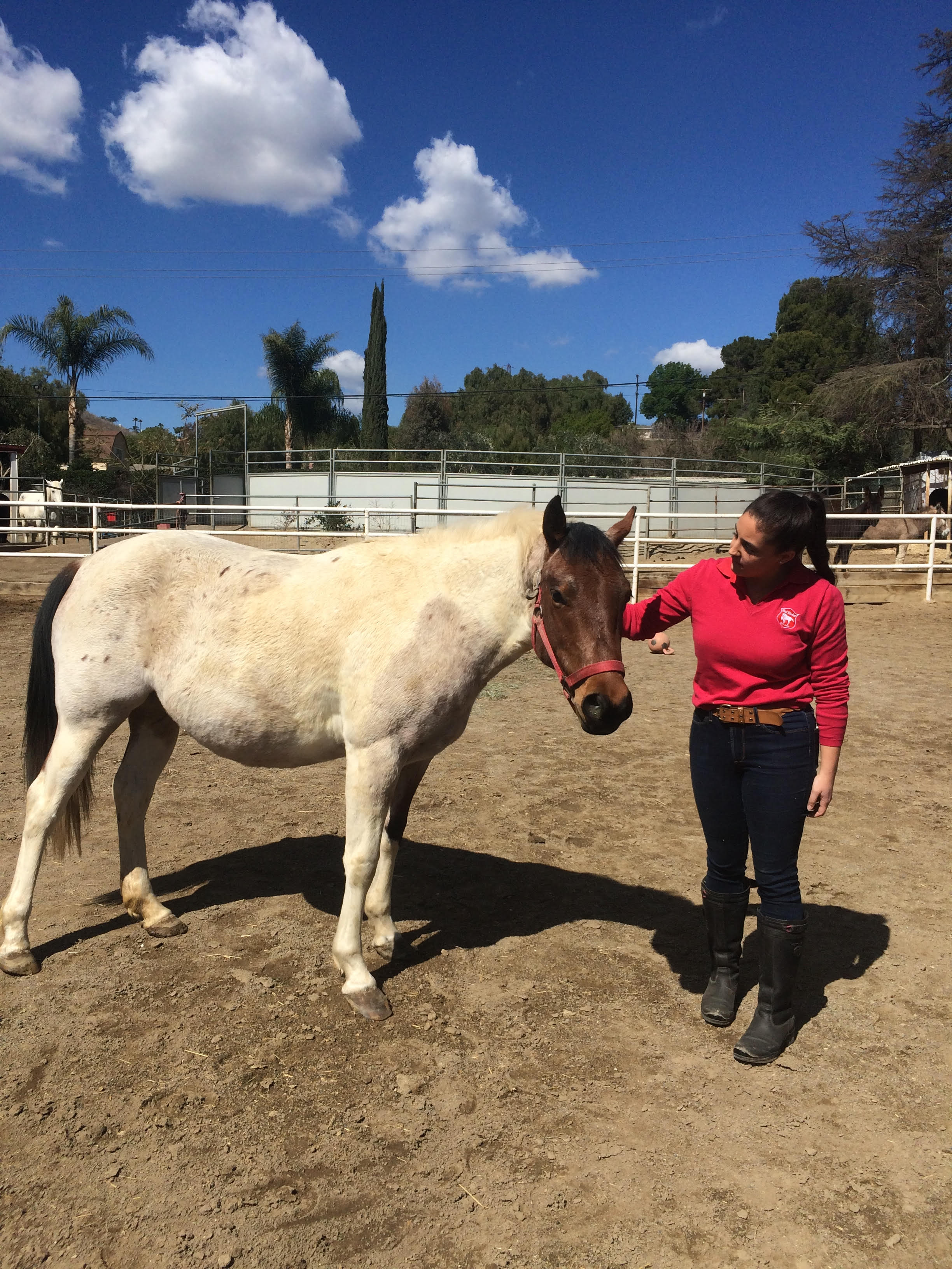 Red Bucket Equine Rescue 387 JuJu Red Bucket Equine Rescue