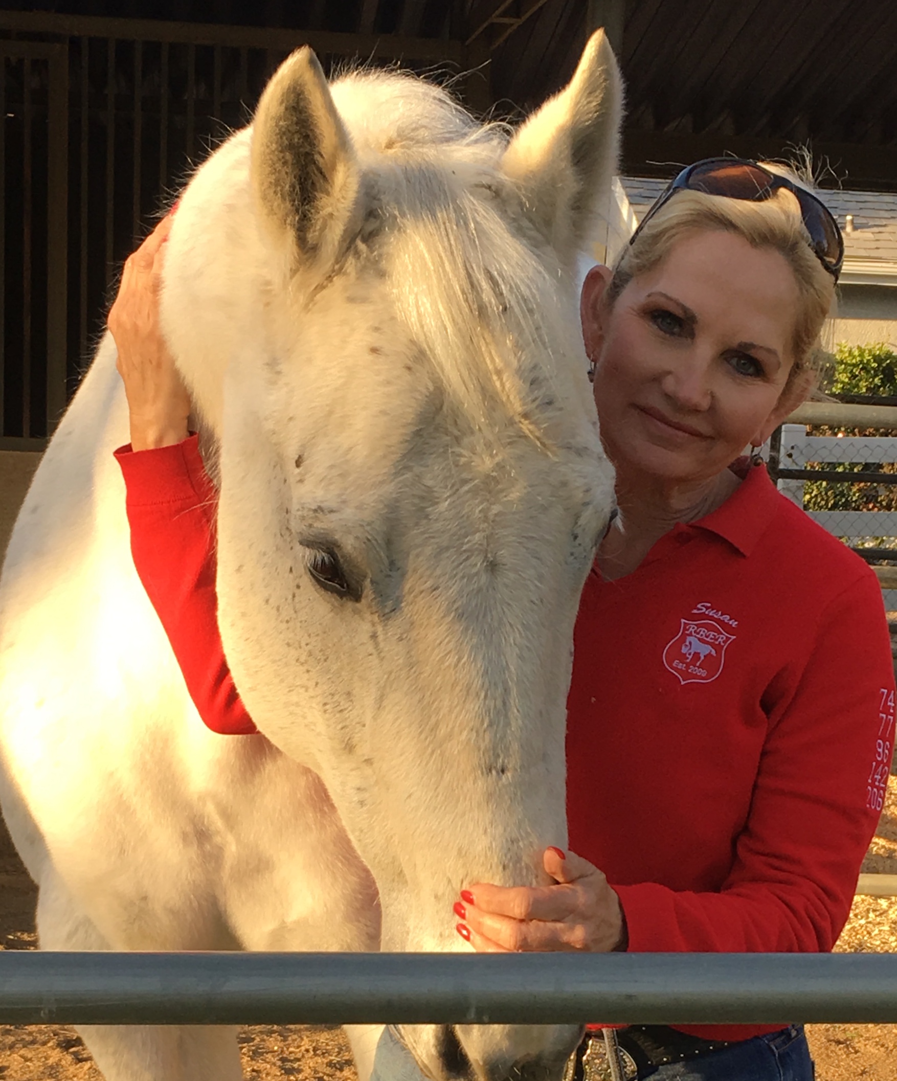 Red Bucket Equine Rescue Forever Home Found 252 Cooper Red Bucket