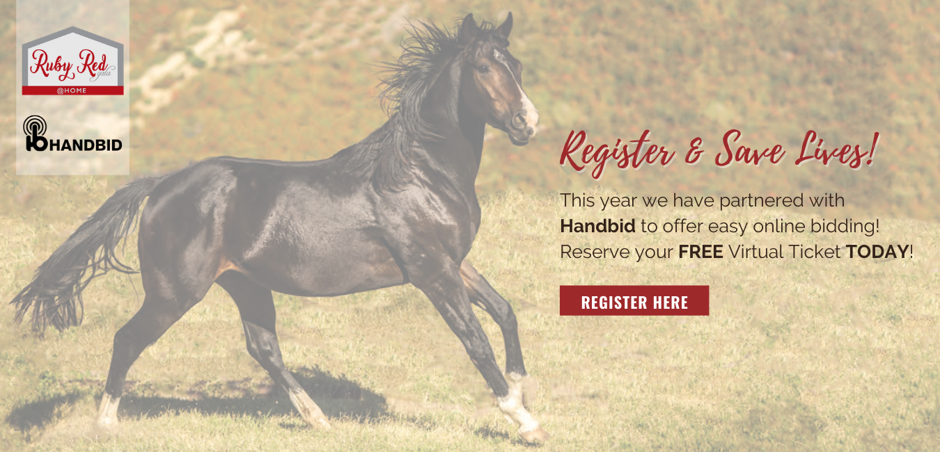 Red Bucket Equine Rescue