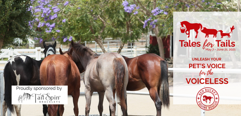 Red Bucket Equine Rescue [ 493 x 1024 Pixel ]