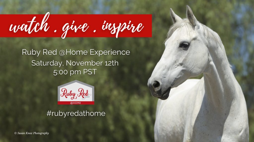 Red Bucket Equine Rescue